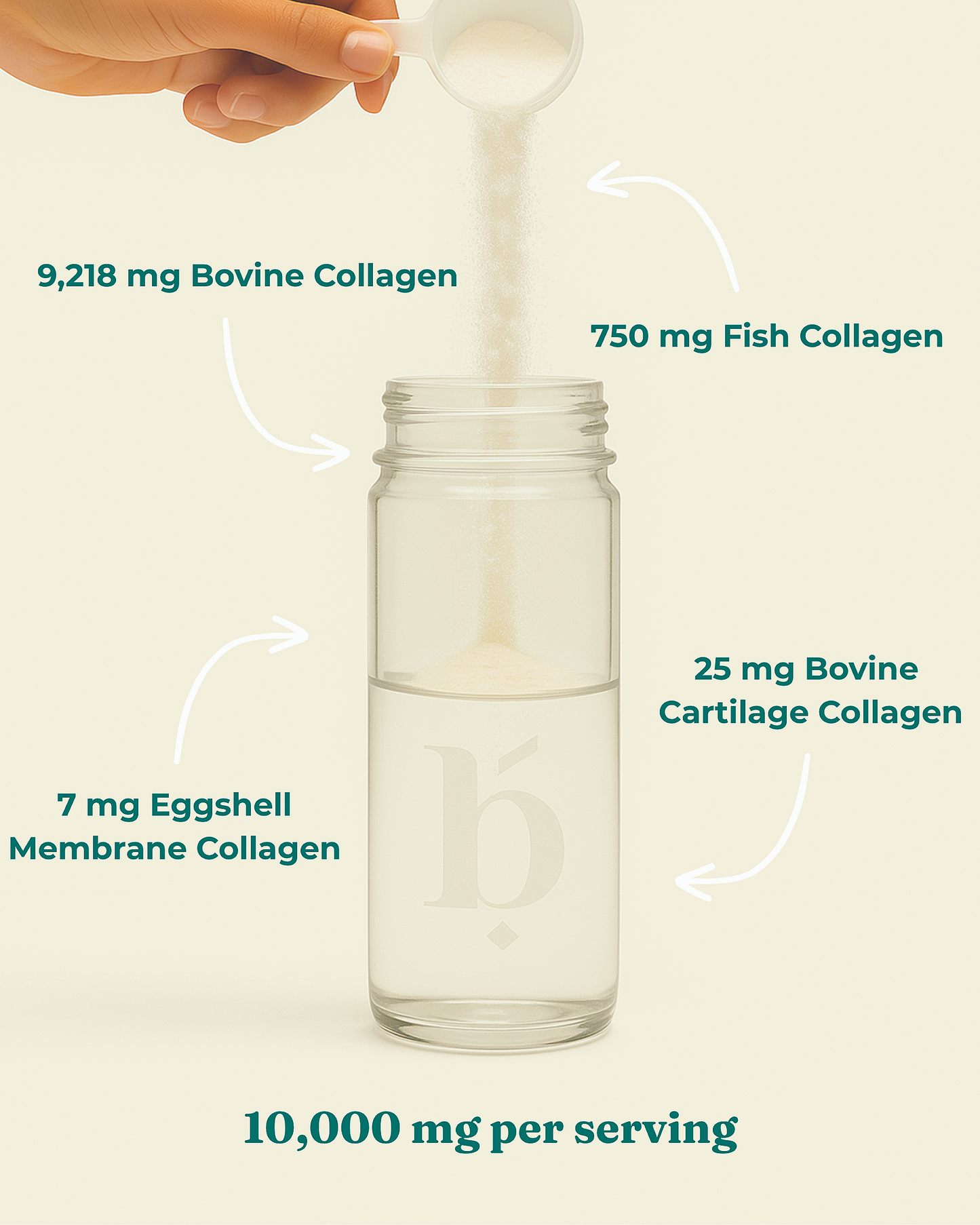 Halal Multi Collagen Protein