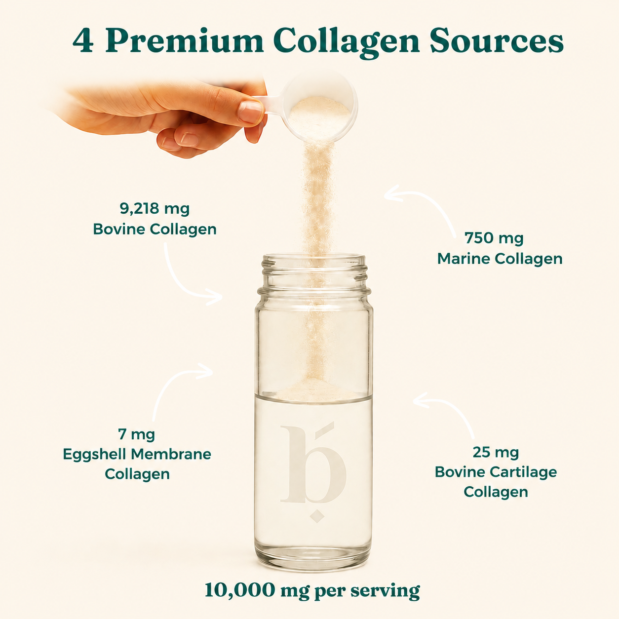 Halal Multi Collagen Protein