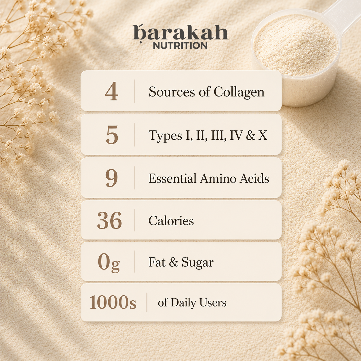 Halal Multi Collagen Protein